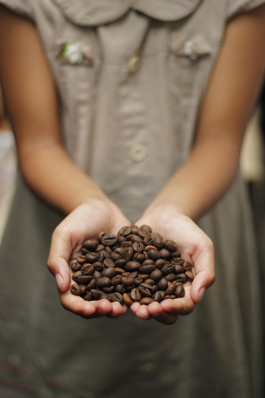 coffee, coffee beans, aroma, roasted, coffee cup, beans, espresso, cappuccino, mug, caffeine, coffee on hand, holding coffee beans, hand-holding, kopi, javanese, coffee background, coffee texture, background, coffee farm, indonesia, love shape, love coffee, girl holding, girl holding coffee bean, coffee seed, beautiful wallpaper, indonesian coffee, iphone wallpaper