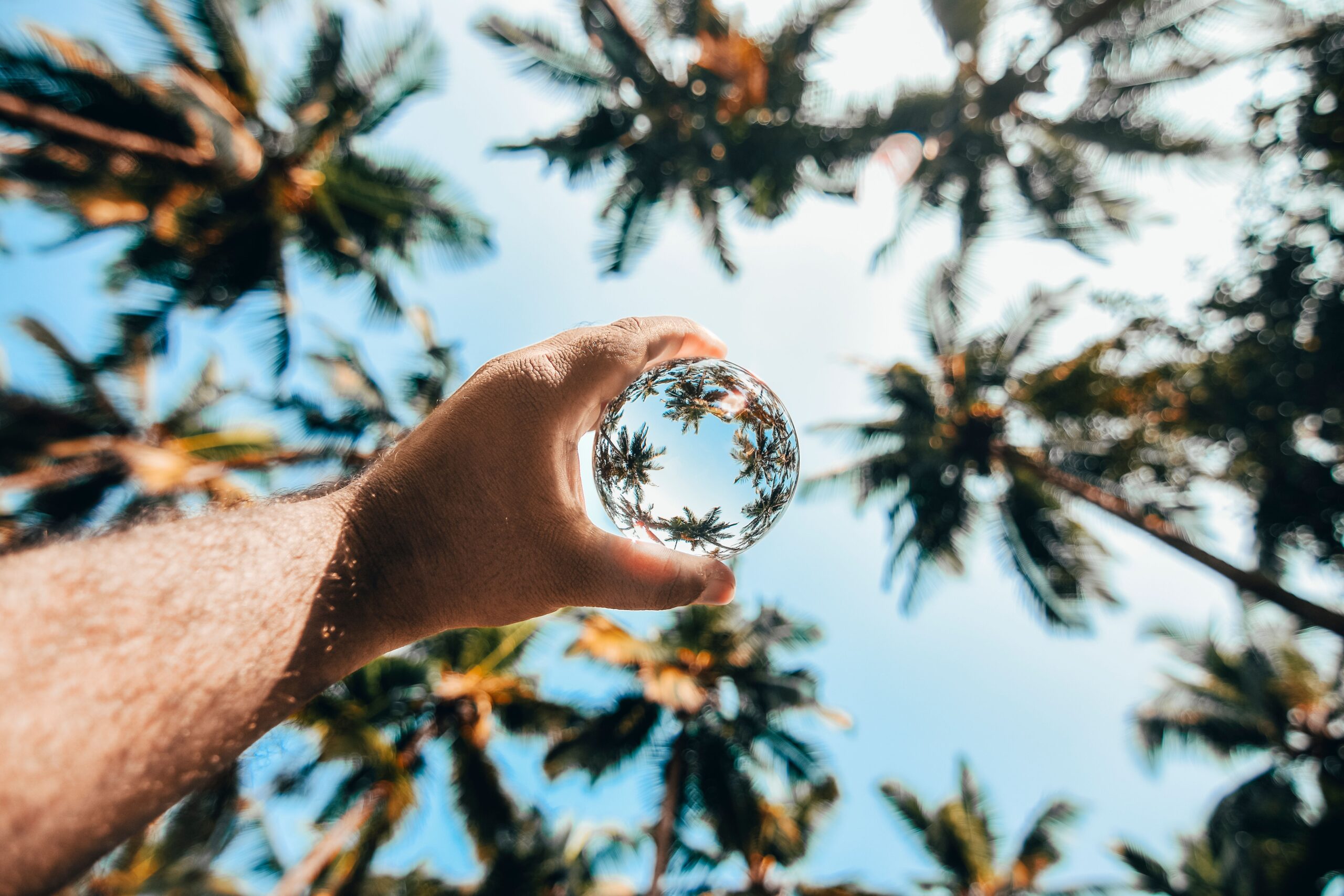 A hand holds a lensball reflecting coconut trees in a tropical setting, creating a unique optical effect.